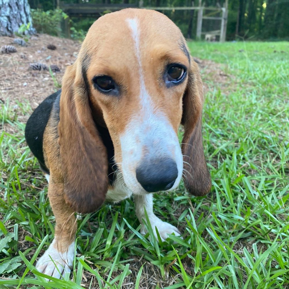 Meet your Posher, Ella